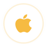 iOS苹果APP软件开发